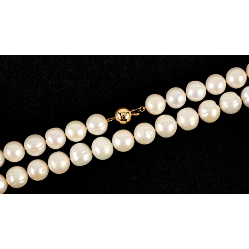 2562 - Large freshwater single string pearl necklace with 9ct gold ball clasp, 45cm in length, 86.6g