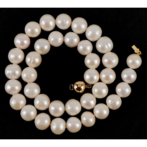 2562 - Large freshwater single string pearl necklace with 9ct gold ball clasp, 45cm in length, 86.6g