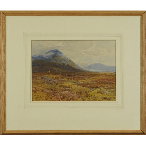 1507 - Harry Hime - Marshlands before mountains, late 19th/early 20th century watercolour, mounted, framed ... 