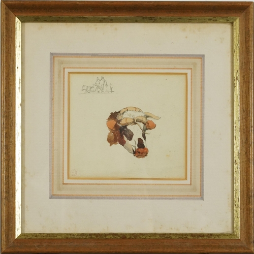 1321 - Edward Duncan - Study of an ox head, 19th century watercolour with studio watermark, inscribed verso... 