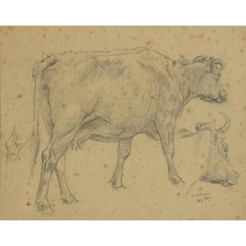 1638 - Richard Henry Brock 1896 -  Studies of a cow facing right, late 19th century pencil sketch, provenan... 