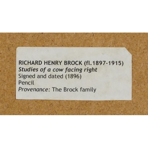 1638 - Richard Henry Brock 1896 -  Studies of a cow facing right, late 19th century pencil sketch, provenan... 