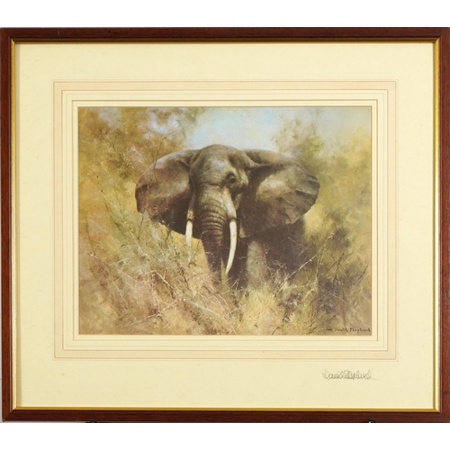 1431 - David Shepherd - Wild Elephant, pencil signed print in colour, inscribed verso by the artist, mounte... 