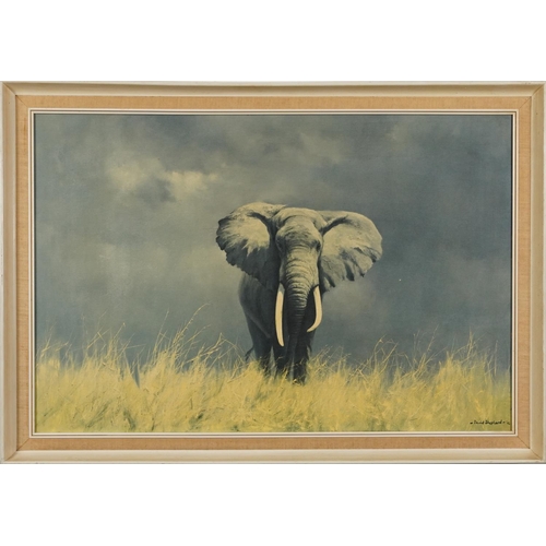 1350 - After David Shepherd - Wild Elephant, print in colour, Croydon Galleries label verso, mounted and fr... 