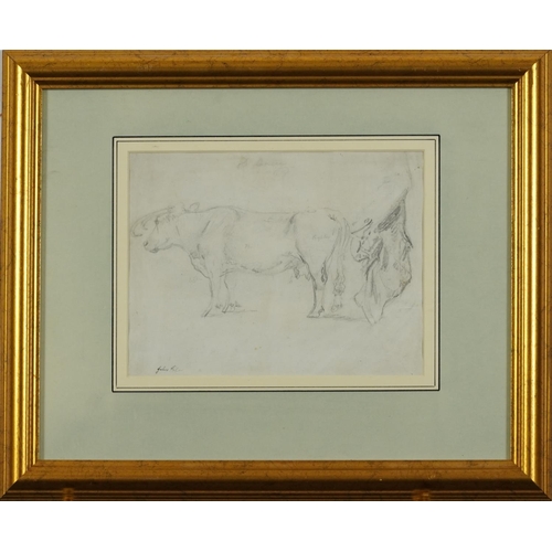 1371 - Manner of Robert Hills - Study of a bull, pencil sketch with pencil annotations, indistinctly inscri... 