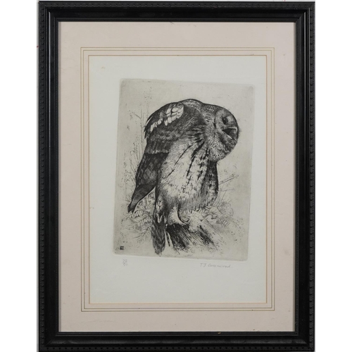 1341 - Timothy J Greenwood - Study of an owl, pencil signed print, limited edition 22/50, mounted, framed a... 