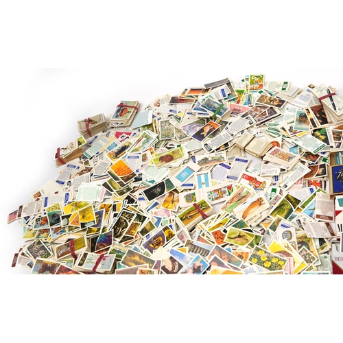 595 - Extensive collection of cigarette and tea cards, some arranged in albums including Brooke Bond Tea, ... 