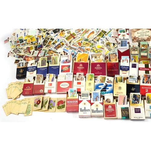 595 - Extensive collection of cigarette and tea cards, some arranged in albums including Brooke Bond Tea, ... 