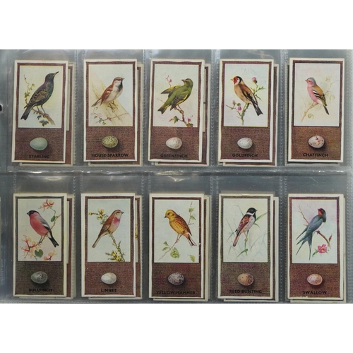 590 - Large collection of cigarette cards arranged in four albums including W D & H O Wills Butterflies & ... 