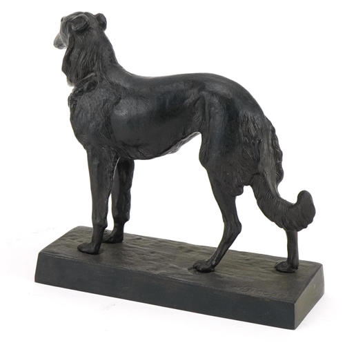 145 - Cast iron model of an Afghan hound dated 1981, Russian plaques to the base, 20cm in length