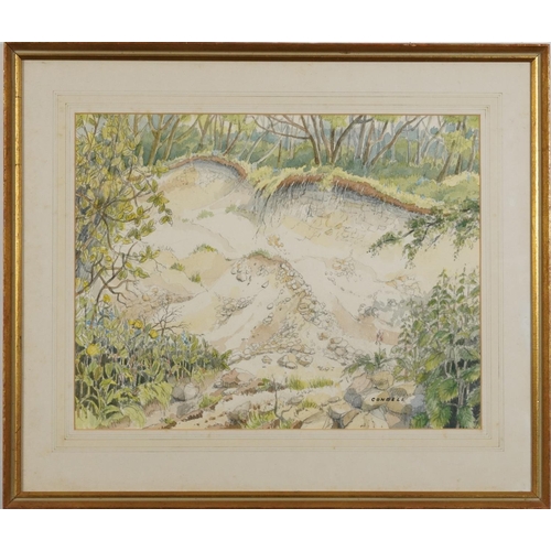 1549 - Condell - Woodland landscape with foliage, pencil and watercolour, mounted, framed and glazed, 45cm ... 