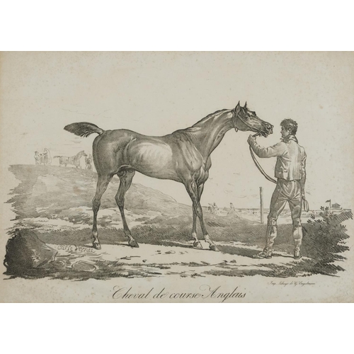 1738 - After Carle Vernet - Racing horse, 19th century lithographic print, printed by Godefroy Engelmann, m... 