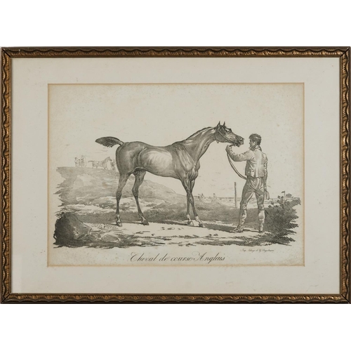 1738 - After Carle Vernet - Racing horse, 19th century lithographic print, printed by Godefroy Engelmann, m... 