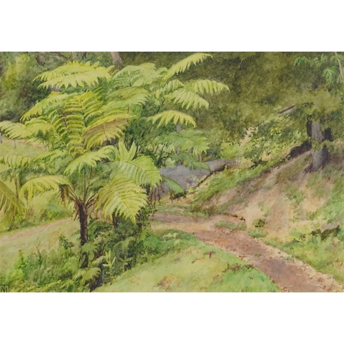 1666 - Woodland landscape with bracken, watercolour, monogrammed T M, mounted, framed and glazed, 34cm x 24... 