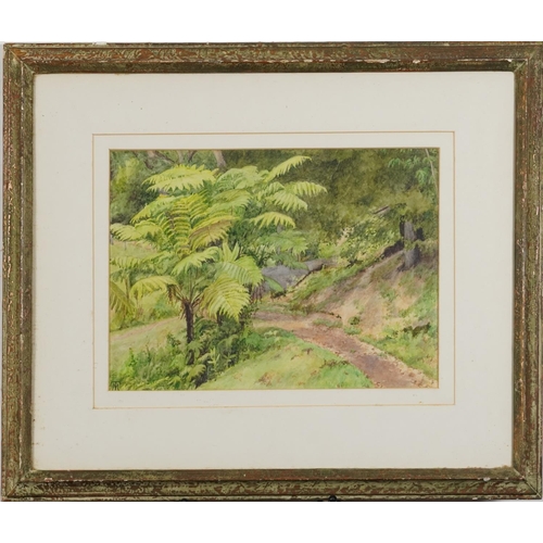 1666 - Woodland landscape with bracken, watercolour, monogrammed T M, mounted, framed and glazed, 34cm x 24... 