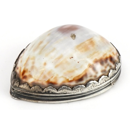 2702 - Antique continental silver mounted cowrie shell snuff box, impressed I. C maker's mark to the interi... 