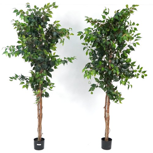 1074 - Two floor standing artificial houseplants, 185cm high