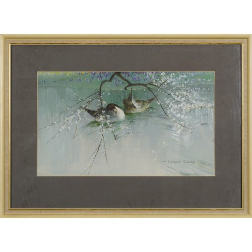 1412 - Vernon Ward - Two ducks on water, impasto oil, with receipt and Beckstones Gallery label verso, moun... 