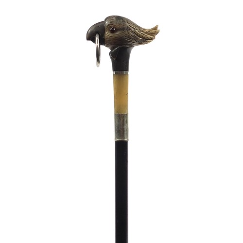 345 - Carved horn cockatoo design walking stick with ebonised shaft, the carved pommel possibly rhinoceros... 
