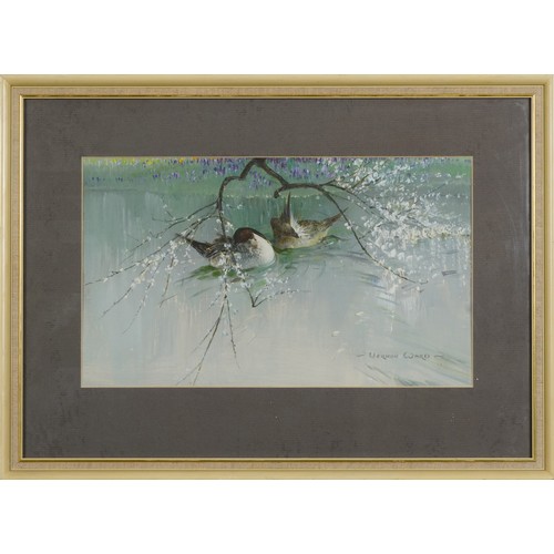 279 - Vernon Ward - Two ducks on water, impasto oil, with receipt and Beckstones Gallery label verso, moun... 