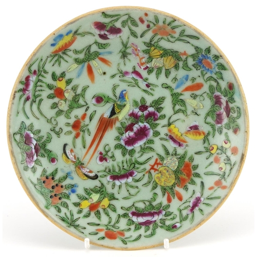 1257 - Chinese Canton porcelain plate hand painted in the famille rose palette with birds amongst flowers, ... 