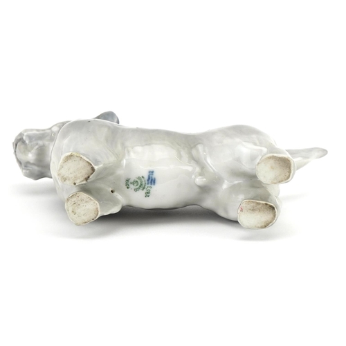 1173 - Royal Copenhagen, Danish porcelain Westie dog, 21cm in length