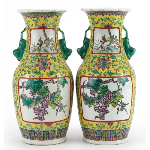 356 - Pair of Chinese porcelain yellow ground vases with twin handles hand painted with panels of birds am... 