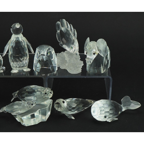 1149 - Ten Swarovski Crystal animals including beaver, seal with pup, penguin, whale and eagle head, the la... 