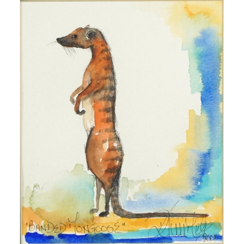 448 - Crested Crane and Banded Mongoose, pair of watercolours, each indistinctly signed and dated 2001, mo... 