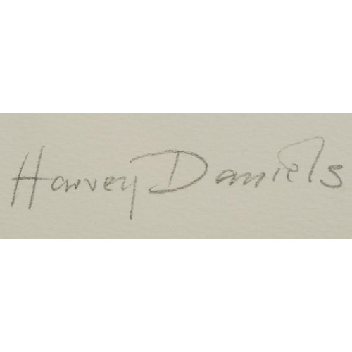 180 - Harvey Morton Daniels - Chapel Mews Suite VI, New Look, pencil signed screen print in colour, limite... 