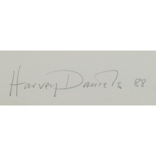 163 - Harvey Morton Daniels '88 - Around the Modern Device, pencil signed screen print in colour, inscribe... 