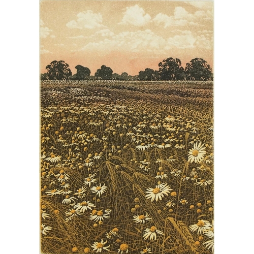 578 - Graham Evernden - Fuller's Field and one other, pair of pencil signed prints in colour, limited edit... 