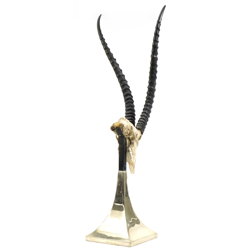 37 - Anthony Redmile, 1970s taxidermy antelope skull with antlers raised on a steel and silvered tapering... 
