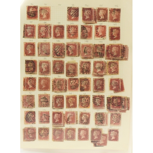 2514 - Collection of Penny Red stamps on four pages