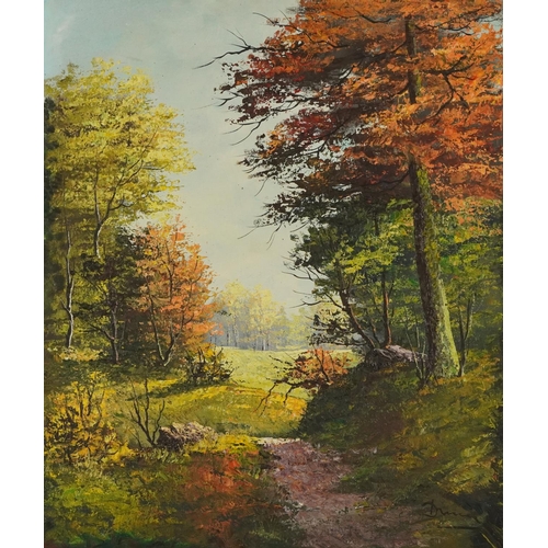 1293 - Autumn wooded landscape, oil on canvas board, mounted and framed, 60cm x 50cm excluding the mount an... 