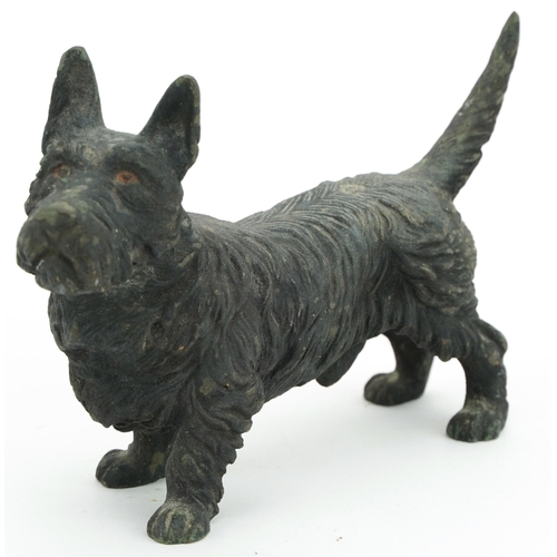 340 - Cold painted bronze Scottie dog, 15.5cm in length