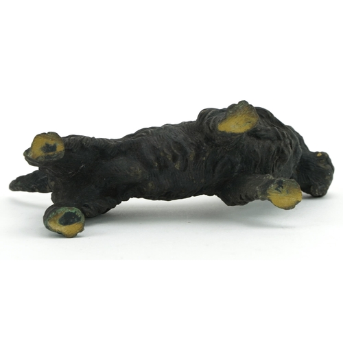 340 - Cold painted bronze Scottie dog, 15.5cm in length