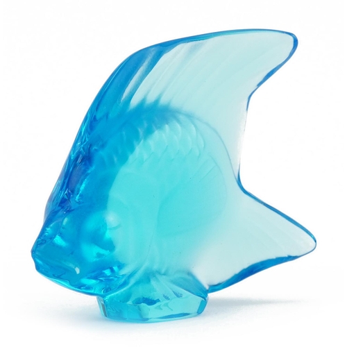 360 - Lalique France, blue glass angel fish with box, etched Lalique France, 4.8cm high