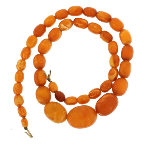 2019 - Butterscotch amber coloured graduated bead necklace with 9ct gold clasp, the largest bead 2.4cm wide... 