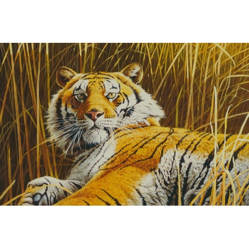 1722 - Stephen Gayford - Tiger resting, pencil signed print in colour, limited edition 289/850, Osborne & A... 