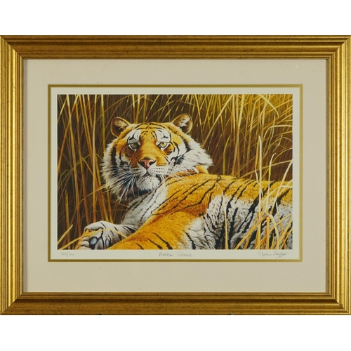 1722 - Stephen Gayford - Tiger resting, pencil signed print in colour, limited edition 289/850, Osborne & A... 