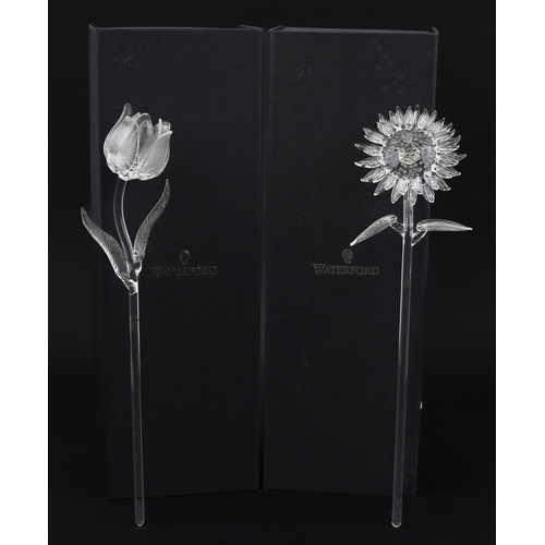 1098 - Two Waterford Crystal flowers with boxes comprising Sunflower and Tulip flower, the largest 38cm hig... 