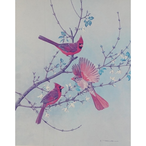 1750 - Basil Ede - Birds on branches, pair of pencil signed prints in colour, limited edition 38/750 and 56... 