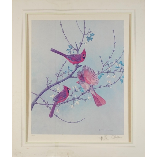 1750 - Basil Ede - Birds on branches, pair of pencil signed prints in colour, limited edition 38/750 and 56... 