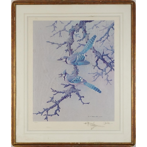 1750 - Basil Ede - Birds on branches, pair of pencil signed prints in colour, limited edition 38/750 and 56... 