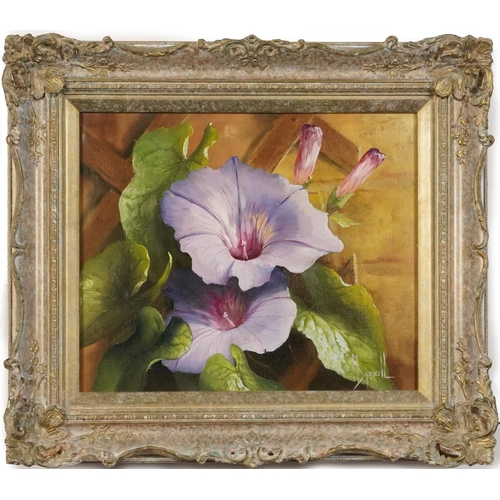 71 - Mary Dipnall - Still life, flowers, oil on canvas, The Whibley Galleries, Worthing label verso, insc... 