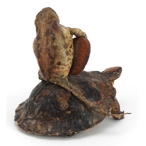 129 - Taxidermy Steam Punk sculpture of a toad playing a guitar on a tortoise, 12cm high