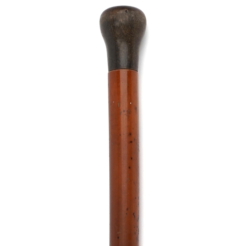 406 - Malacca walking stick with horn pommel, possibly rhinoceros, 84cm in length