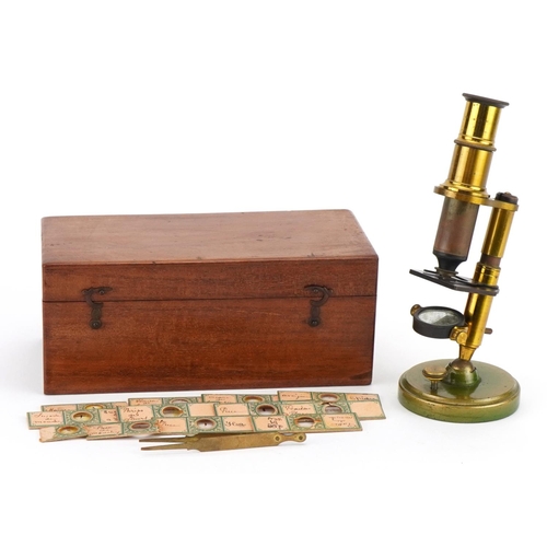 402 - Miniature Victorian adjustable brass microscope with prepared insect slides, housed in a mahogany ca... 