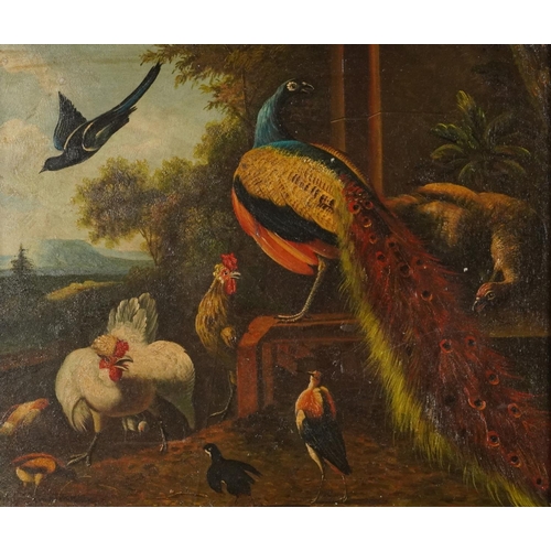 115 - Peacock, chickens and birds, Old Master Style oil on board, mounted and framed, 53cm x 43cm excludin... 